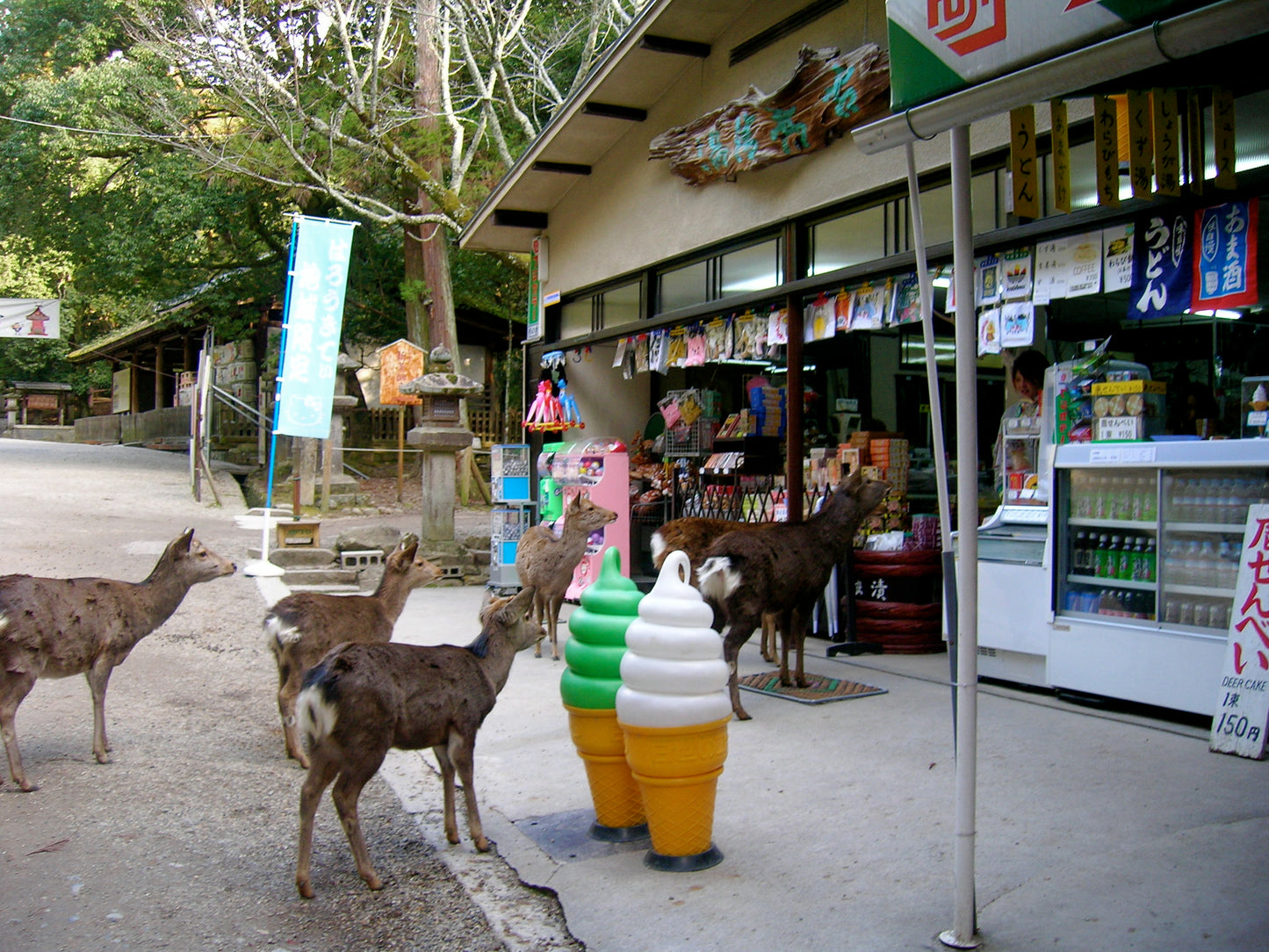 Nara One Day Tour