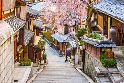 Ruta Kyoto de un día