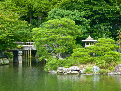 Ruta Kyoto de un día