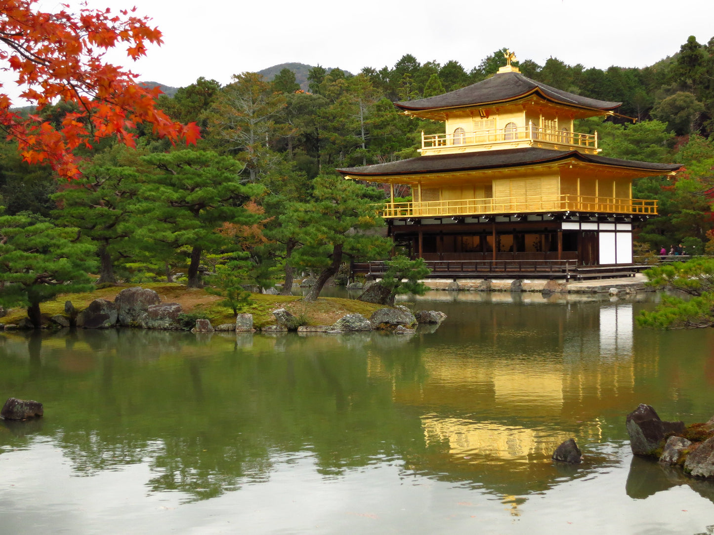 Ruta Kyoto de un día