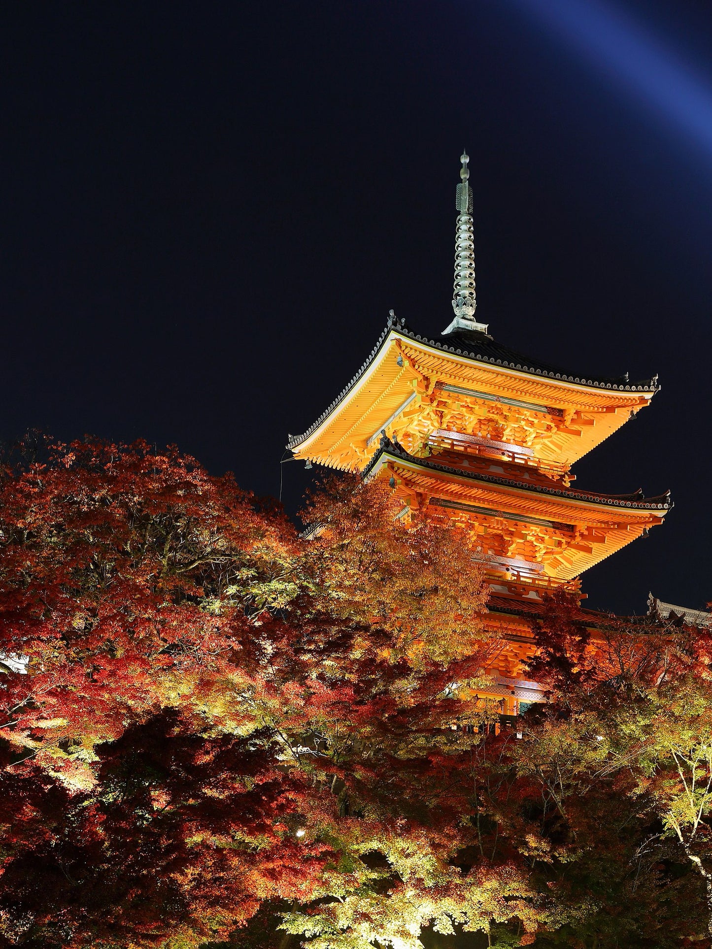 Ruta Kyoto de un día