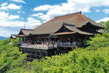 Ruta Kyoto de un día