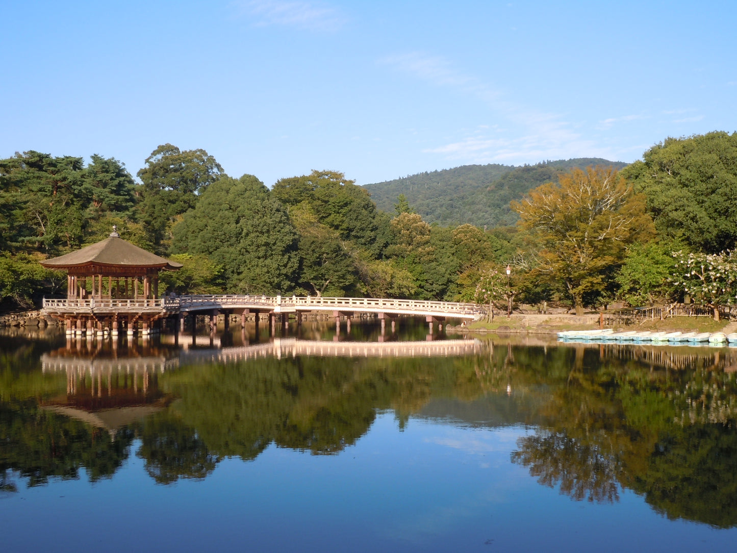 Nara One Day Tour