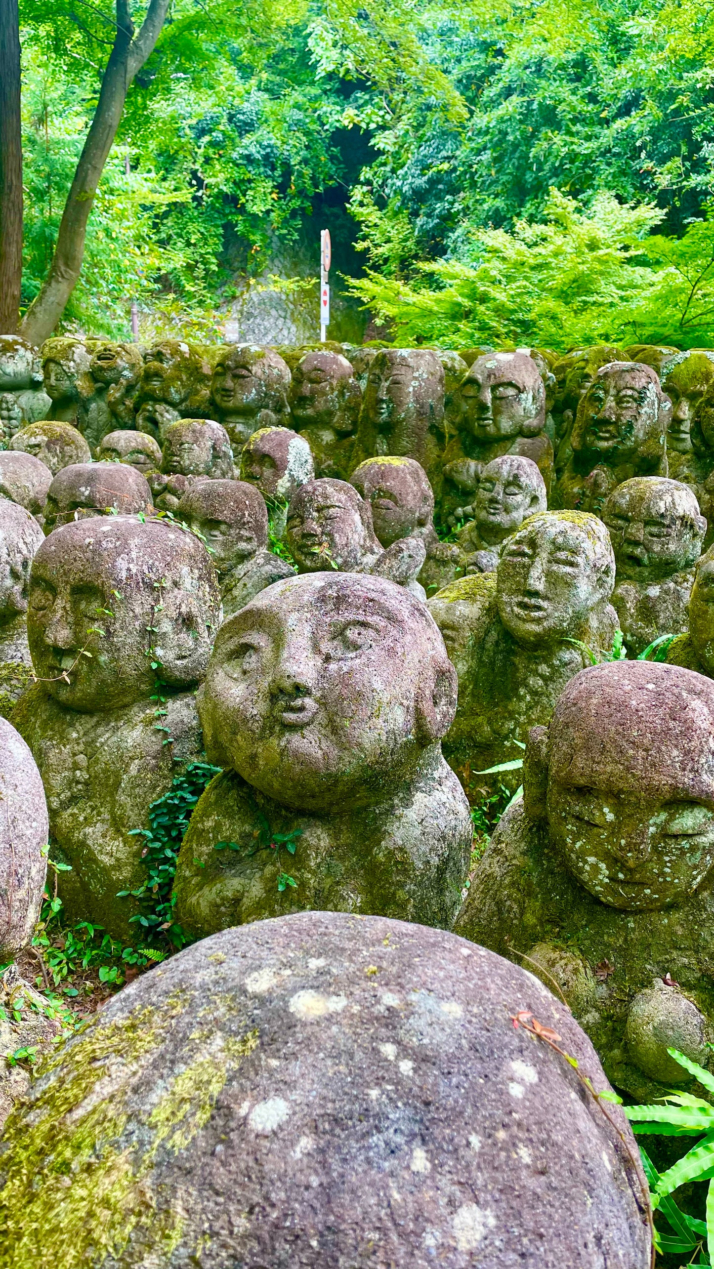 Ruta Kyoto de un día