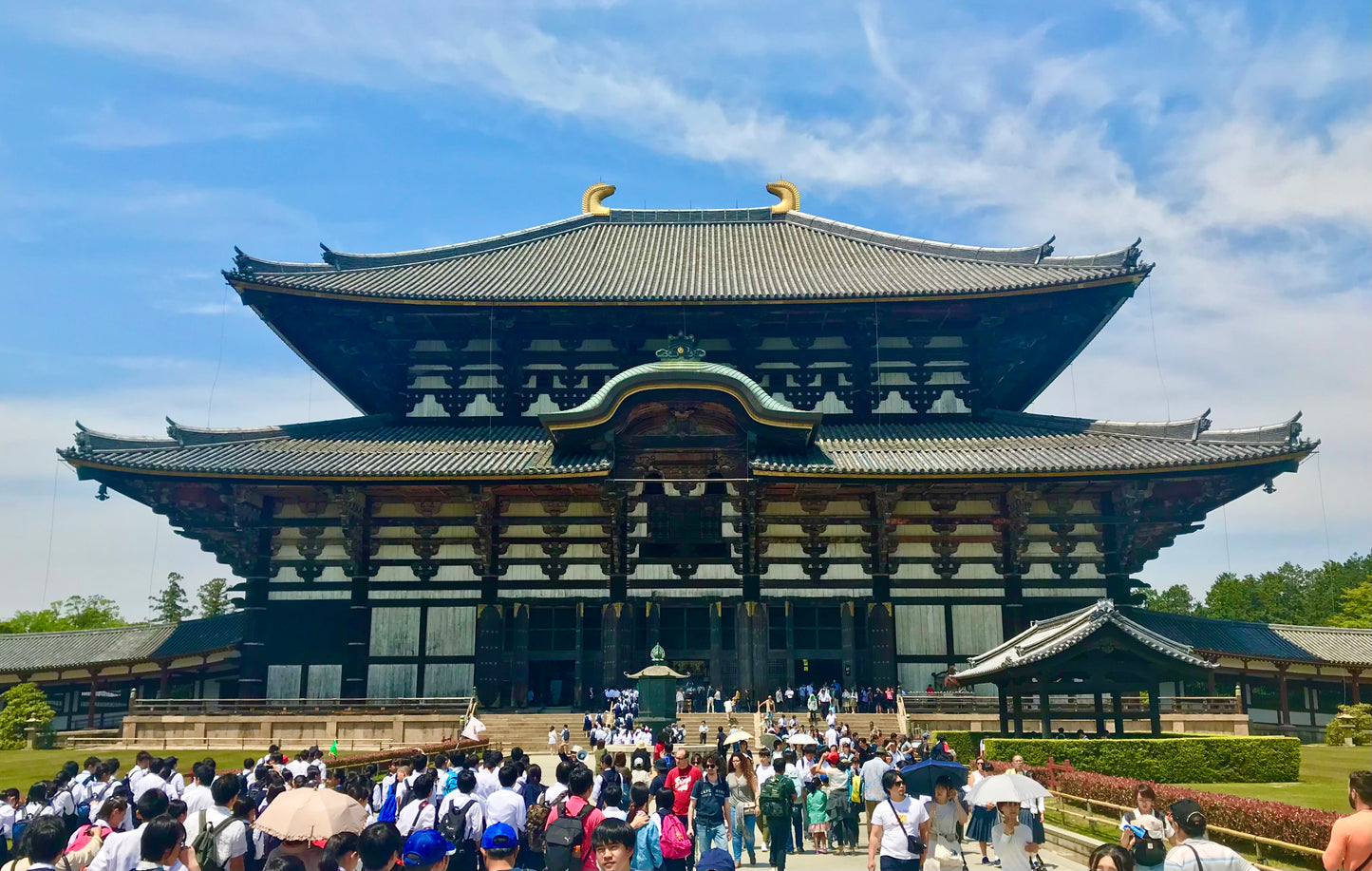 Nara One Day Tour